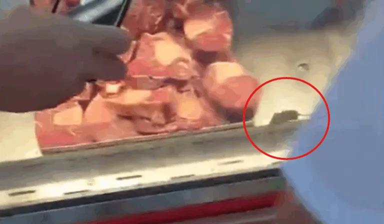 Tempero indesejado: rato é filmado em meio às carnes em supermercado de Manaus