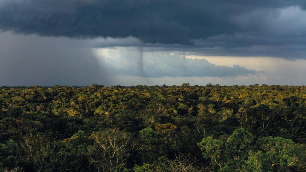 Chuvas na Amazônia.