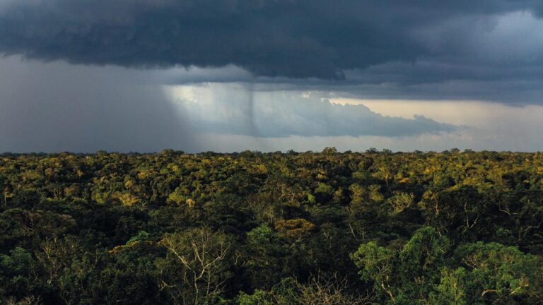 Chuvas na Amazônia.