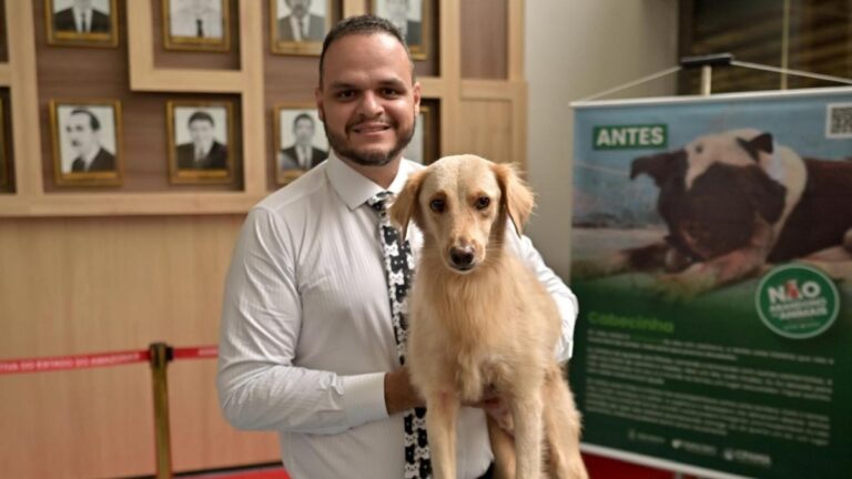 ‘UBS Animal’ tramita na Câmara de Manaus para atender famílias de baixa renda e serviços gratuitos