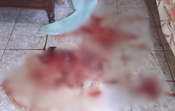 Em SP, homem tentar mantar a própria mãe a facadas