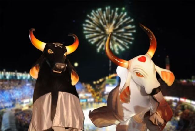 Sol intenso exige atenção à saúde da pele durante o Festival de Parintins, alerta especialista