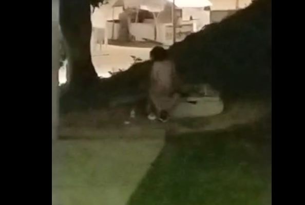Jovens são flagrados fazendo sexo na Ponta Negra