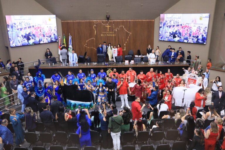 Festival de Parintins é homenageado na Aleam