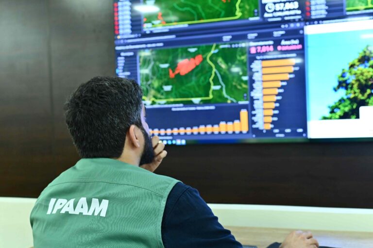 Ipaam registra queda no desmatamento e nos focos de calor no AM em maio