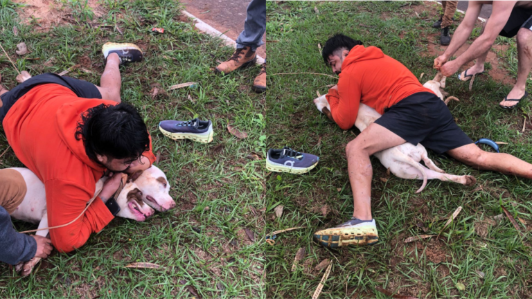 VÍDEO: Lutador imobiliza pitbulls após ser atacado durante corrida no Mato Grosso do Sul