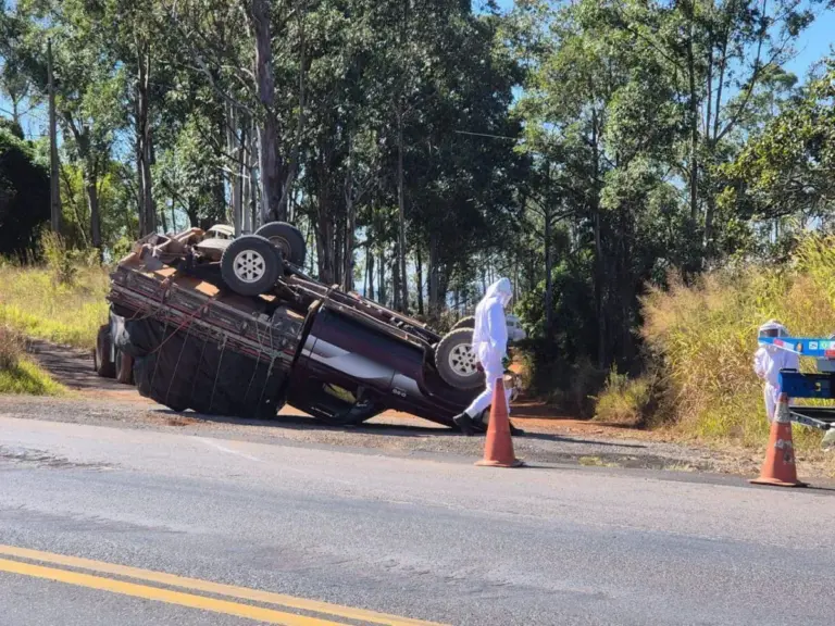Caminhonete com caixas de abelhas capota e enxame escapa na Paraíba