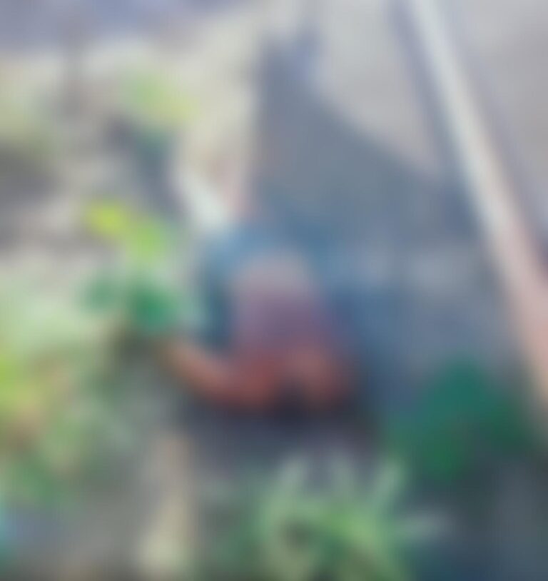 IMAGENS FORTES: Corpo decapitado de mulher é encontrado em Trairi no Ceará
