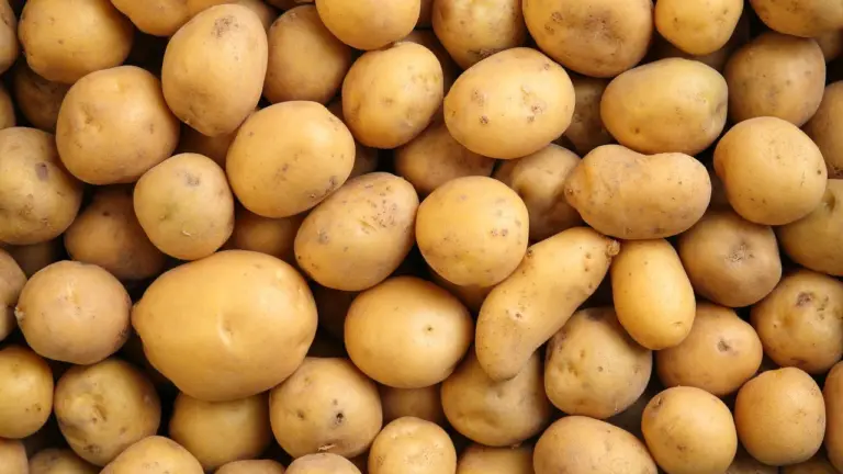 Veja quais são os maiores benefícios da batata para a saúde