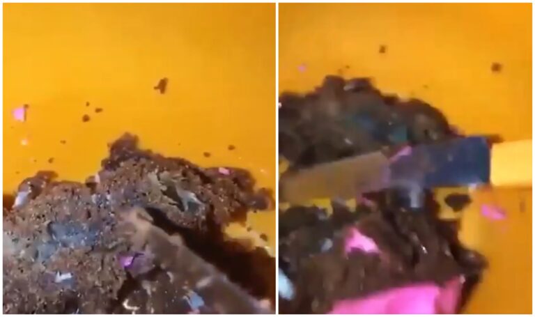 VÍDEO: Cliente encontra rato dentro de bolo de aniversário em Manacapuru: “Tem os pelos dele”