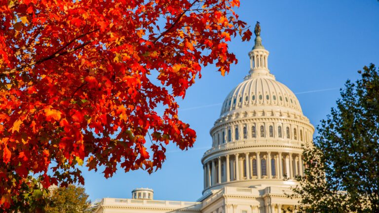Nos EUA, senadores brasileiros iniciam agenda para tentar reverter o 'tarifaço' de Trump