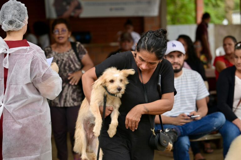 Mais de 800 cães e gatos são castrados em ação de atendimento veterinário em Iranduba
