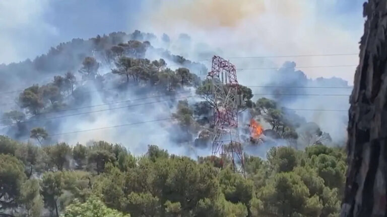 VÍDEO: Incêndio florestal na França fecha aeroporto de Marselha e coloca cidade em alerta