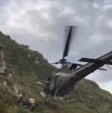 Capivara presa há dias em penhasco de trilha em Florianópolis é resgatada de helicóptero