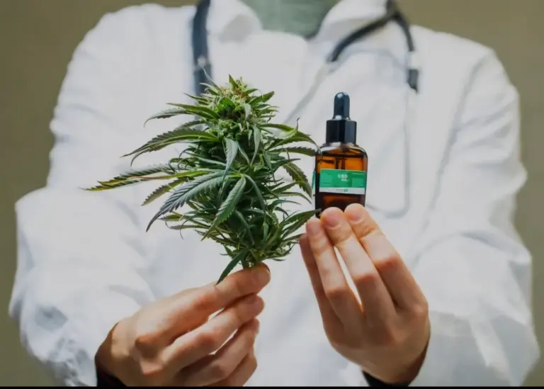 Justiça reconhece saber ancestral indígena em decisão histórica sobre uso medicinal da cannabis