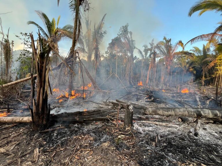 Durante operação, polícia flagra incêndio criminoso e autua dois suspeitos em Manicoré