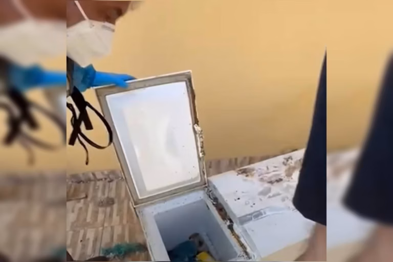 Corpo de mulher estava dentro de freezer (Foto: Reprodução/PCPR)