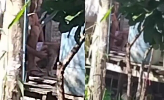 Homem é flagrado abusando de cadela em Tefé, no Amazonas.