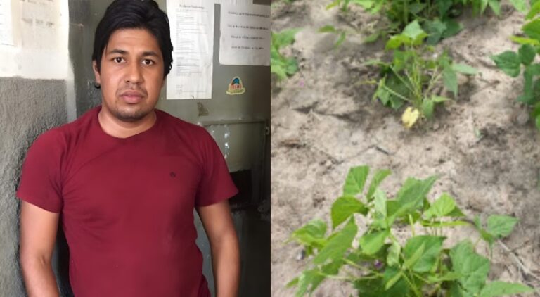 Homem é encontrado em matagal com a cabeça dilacerada a tiros