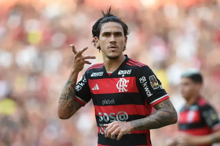 Pedro, atacante do Flamengo (Foto: Alexandre Durão/Zimel Press)
