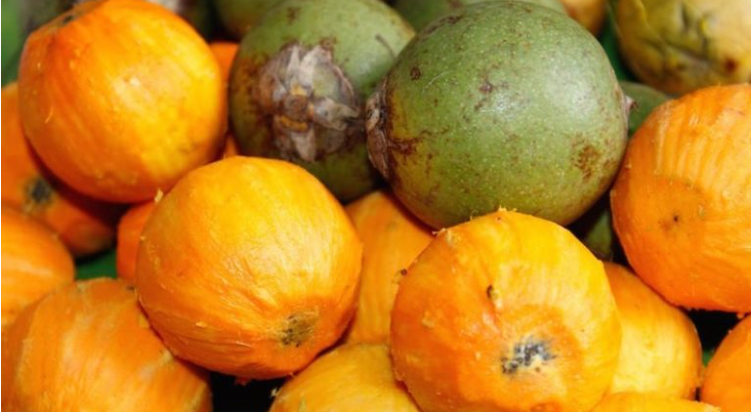 tucumã é um fruto que depende dos polinizadores