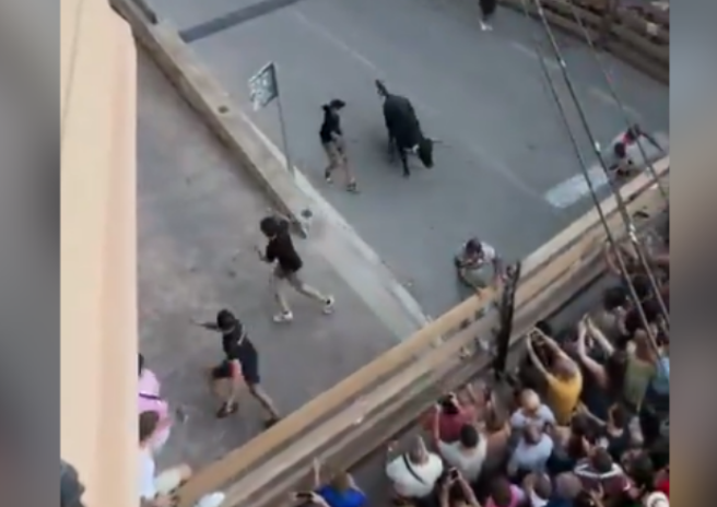 VÍDEO: Touro escapa de recinto e fere três pessoas durante festa na Espanha