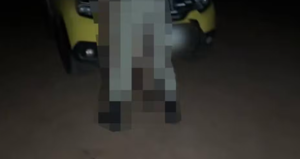 Policial do Paraná é investigado por fazer sexo fardado durante abordagem; vídeo foi parar em site adulto