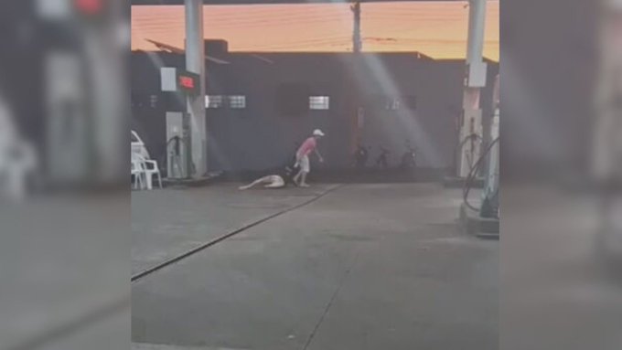 VÍDEO: Mulher é puxada pelos cabelos pelo próprio companheiro em posto de combustíveis de São Paulo
