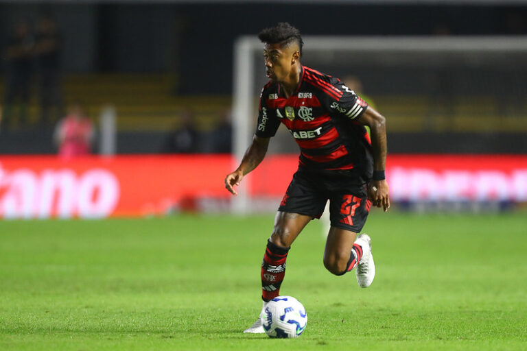 Bruno Henrique em Flamengo e Santos pelo Brasileiro (Foto: Gilvan de Souza/CRF)
