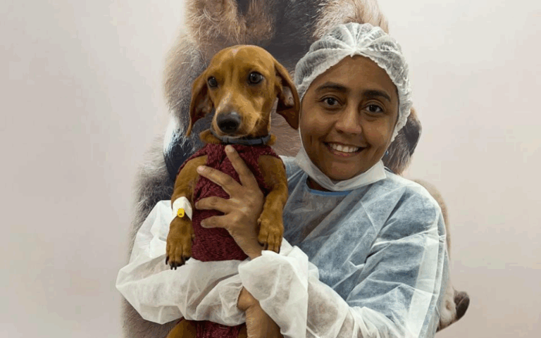 Dia Mundial do Cachorro é celebrado anualmente no dia 26 de agosto.