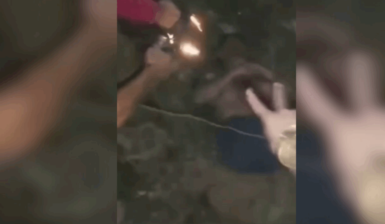 Vídeo mostra execução de homem enterrado em cova rasa em Manaus