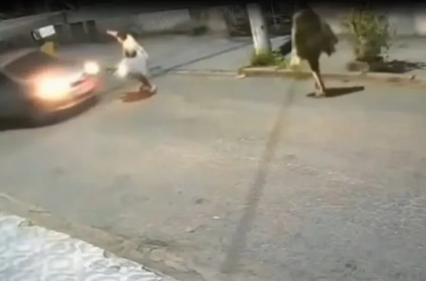 Motorista reage a assalto e atropela criminoso disfarçado de catador no RJ 