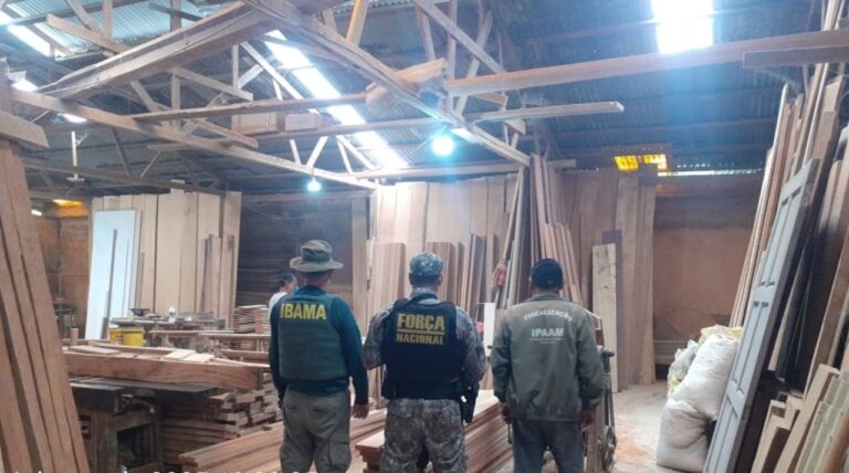 Ipaam aplica R$ 1,39 milhão em multas por crimes ambientais durante força-tarefa
