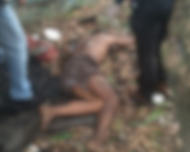 Queda durante colheita de mangas termina em morte em Manaus