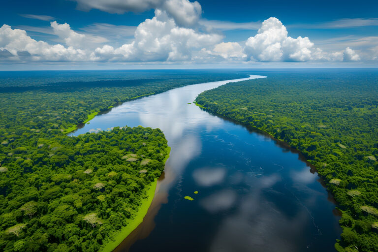 Você sabia que o rio Amazonas não nasce no Brasil? Saiba mais Você sabia que o rio Amazonas não nasce no Brasil? Saiba mais