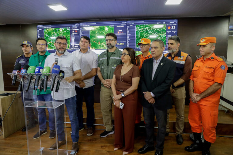 Desmatamento caiu 31% em setembro, afirma Governo do Amazonas Desmatamento caiu 31% em setembro, afirma Governo do Amazonas