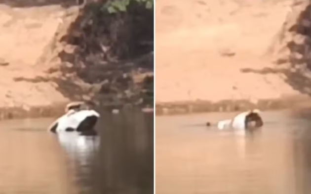 Turista morre após carro cair em rio; amiga escapa pelo porta-malas em Goiás Turista morre após carro cair em rio; amiga escapa pelo porta-malas em Goiás