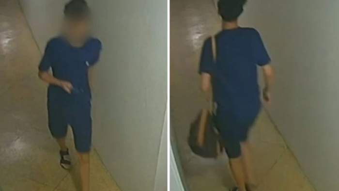 Adolescente de 15 anos é suspeito de furto de R$ 650 mil em apartamento no RJ Adolescente de 15 anos é suspeito de furto de R$ 650 mil em apartamento no RJ
