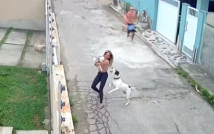 Mulher é atacada por cachorro ao tentar proteger o próprio pet no RJ Mulher é atacada por cachorro ao tentar proteger o próprio pet no RJ