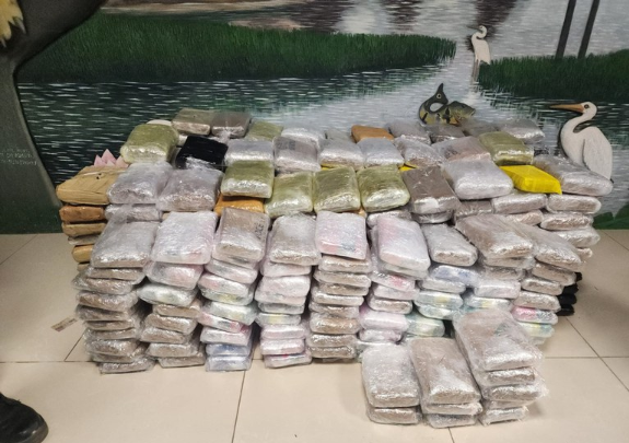 Casal preso com meia tonelada de drogas usava casa como depósito em Manaus