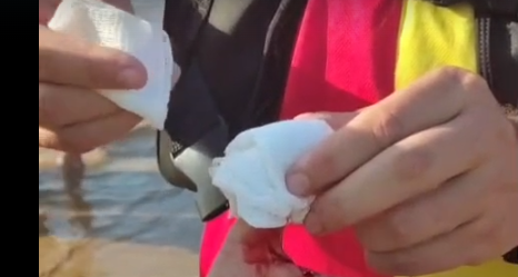 VÍDEO: Banhistas são atacados por piranhas em balneário no Amazonas VÍDEO: Banhistas são atacados por piranhas em balneário no Amazonas