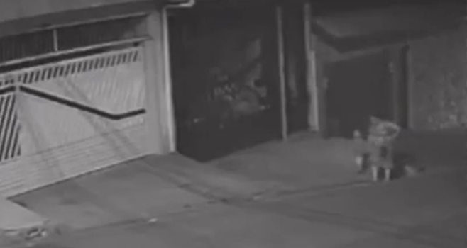 Grávida de gêmeos é atropelada em Guarulhos; motorista foge sem prestar socorro Grávida de gêmeos é atropelada em Guarulhos; motorista foge sem prestar socorro