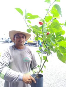 Bruno Souza e uma muda de Carolina Reaper