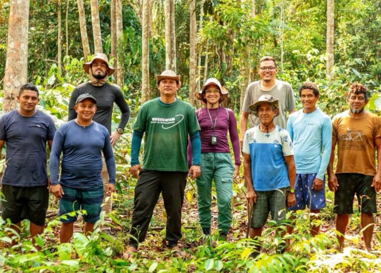 ‘ForestiFi’: Startup une floresta e tecnologia para gerar oportunidade de negócio e impacto social