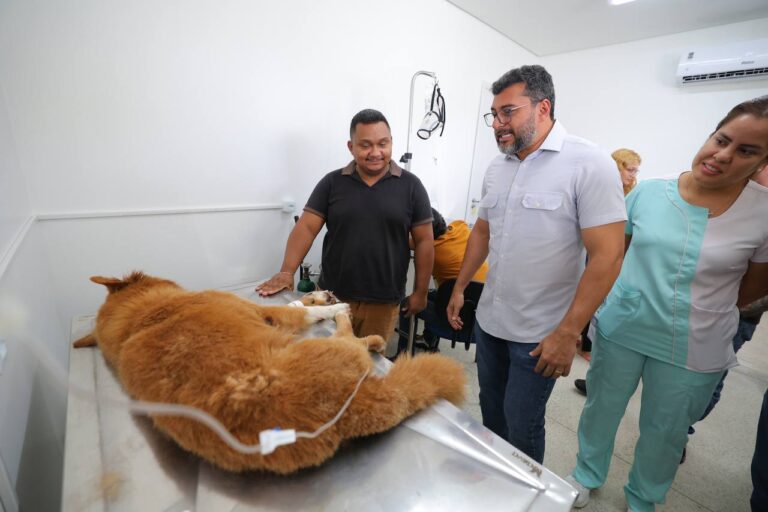 Hospital Público Veterinário faz 3 mil procedimentos na 1ª semana em Manaus Hospital Público Veterinário faz 3 mil procedimentos na 1ª semana em Manaus