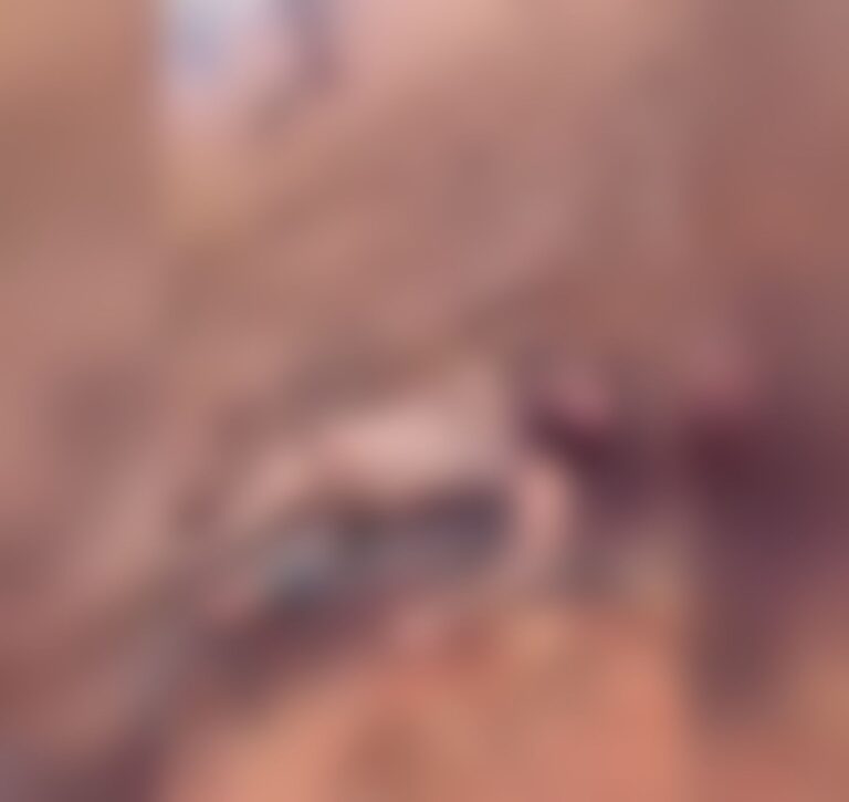 Polícia investiga morte de homem encontrado carbonizado em Pernambuco Polícia investiga morte de homem encontrado carbonizado em Pernambuco