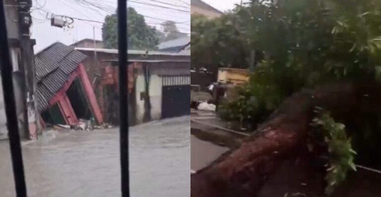 Prefeitura registra 11 ocorrências após fortes chuvas em Manaus nesta terça (14) Prefeitura registra 11 ocorrências após fortes chuvas em Manaus nesta terça (14)