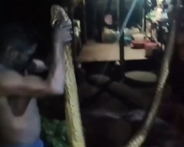 Imagens fortes: sucuri gigante mata homem em comunidade indígena Imagens fortes: sucuri gigante mata homem em comunidade indígena