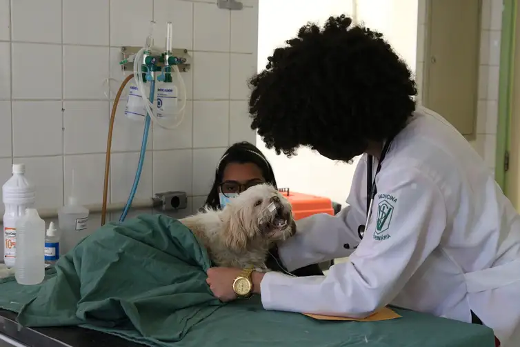 Projeto propõe inclusão de médico-veterinário nas equipes de saúde de Manaus Projeto propõe inclusão de médico-veterinário nas equipes de saúde de Manaus