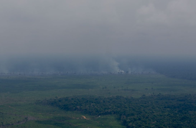 Amom denuncia incêndio de grandes proporções em fazenda de ex-prefeito de Borba